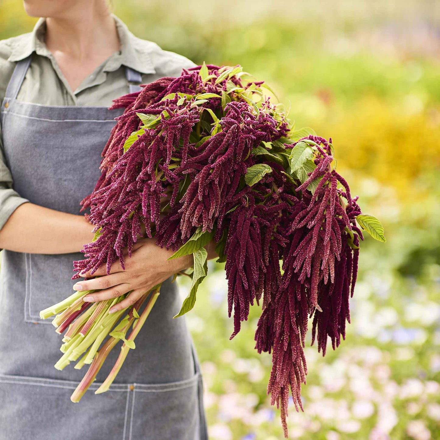 love lies bleeding