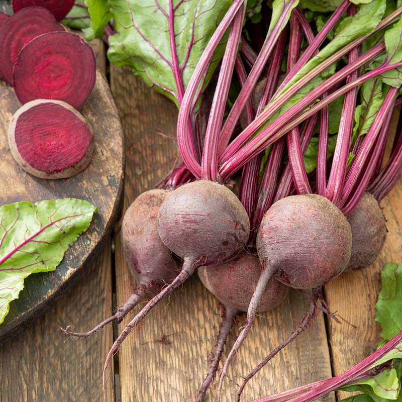 red seed plant Bulk Beet Seeds - Detroit Dark Red