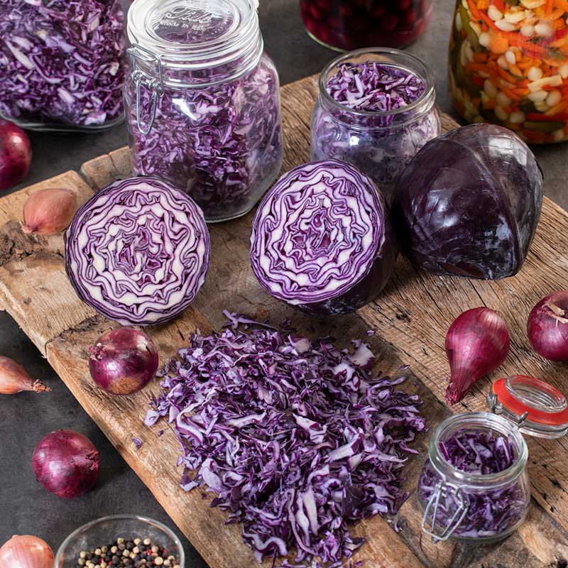 cabbage flower seeds Bulk Cabbage Seeds - Red Express