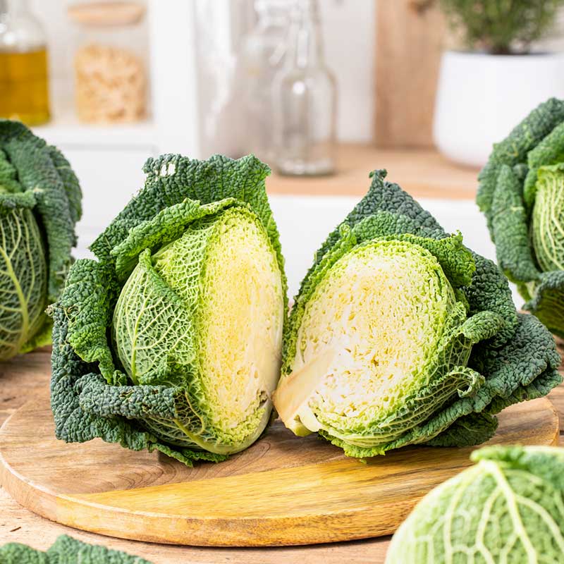 cabbage plant seeds Bulk Cabbage Seeds - Savoy