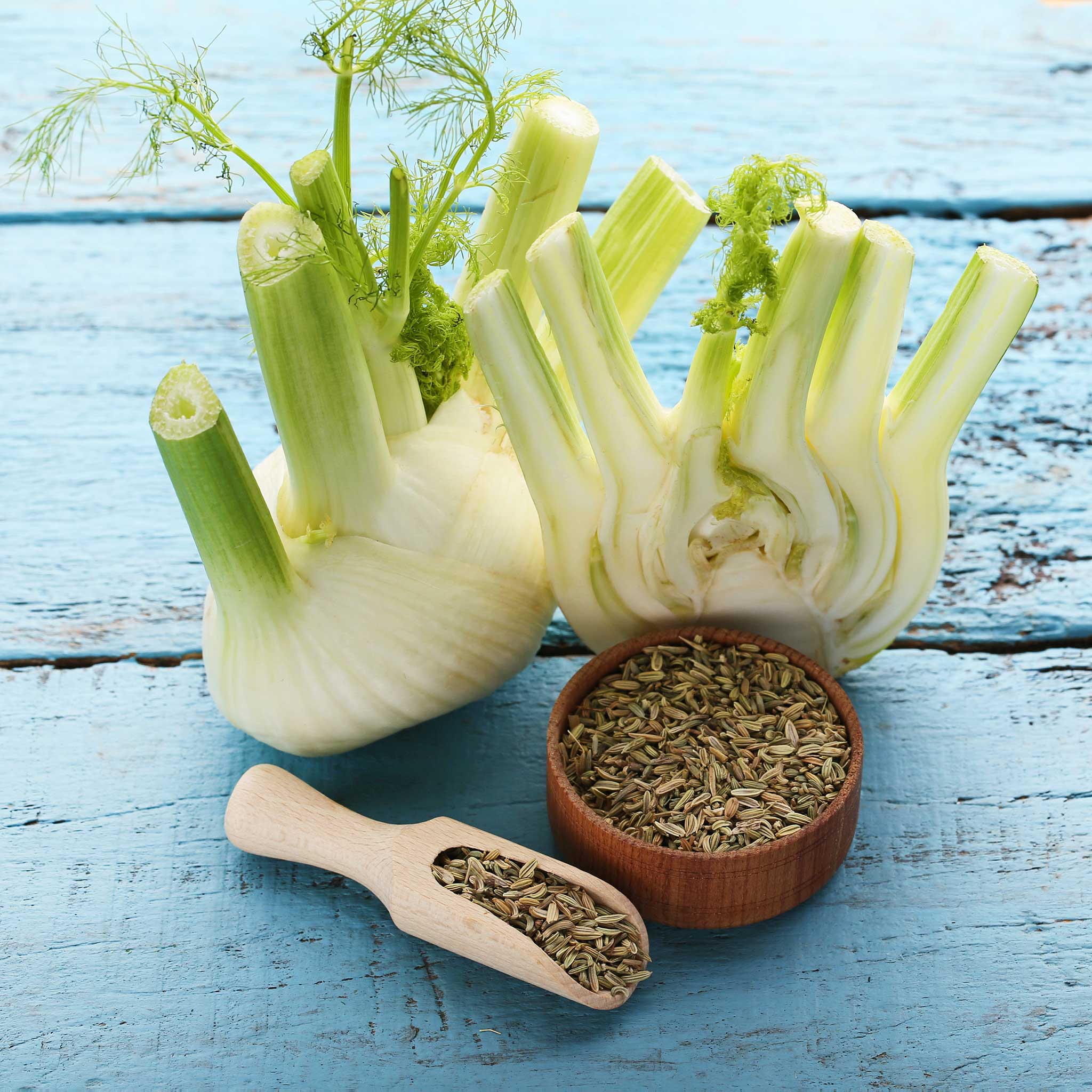 where to buy fennel seeds to plant Bulk Fennel Seeds (Organic) - Florence