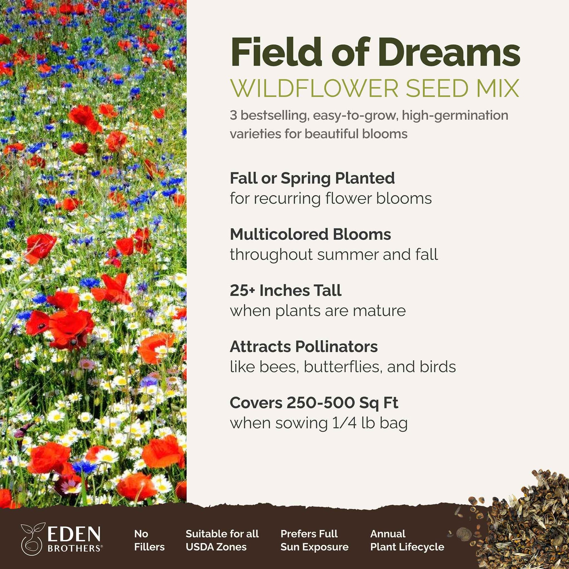 field of dreams overview