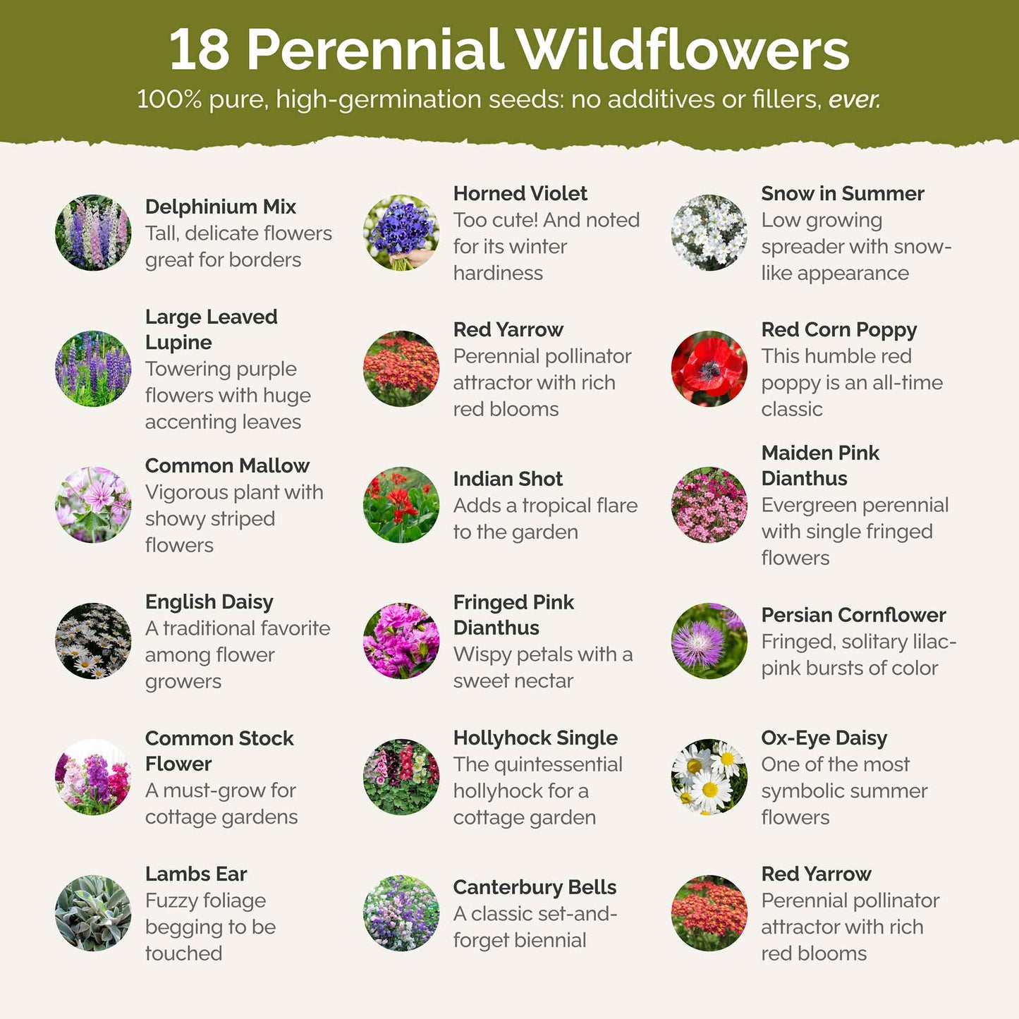 first year perennial contents