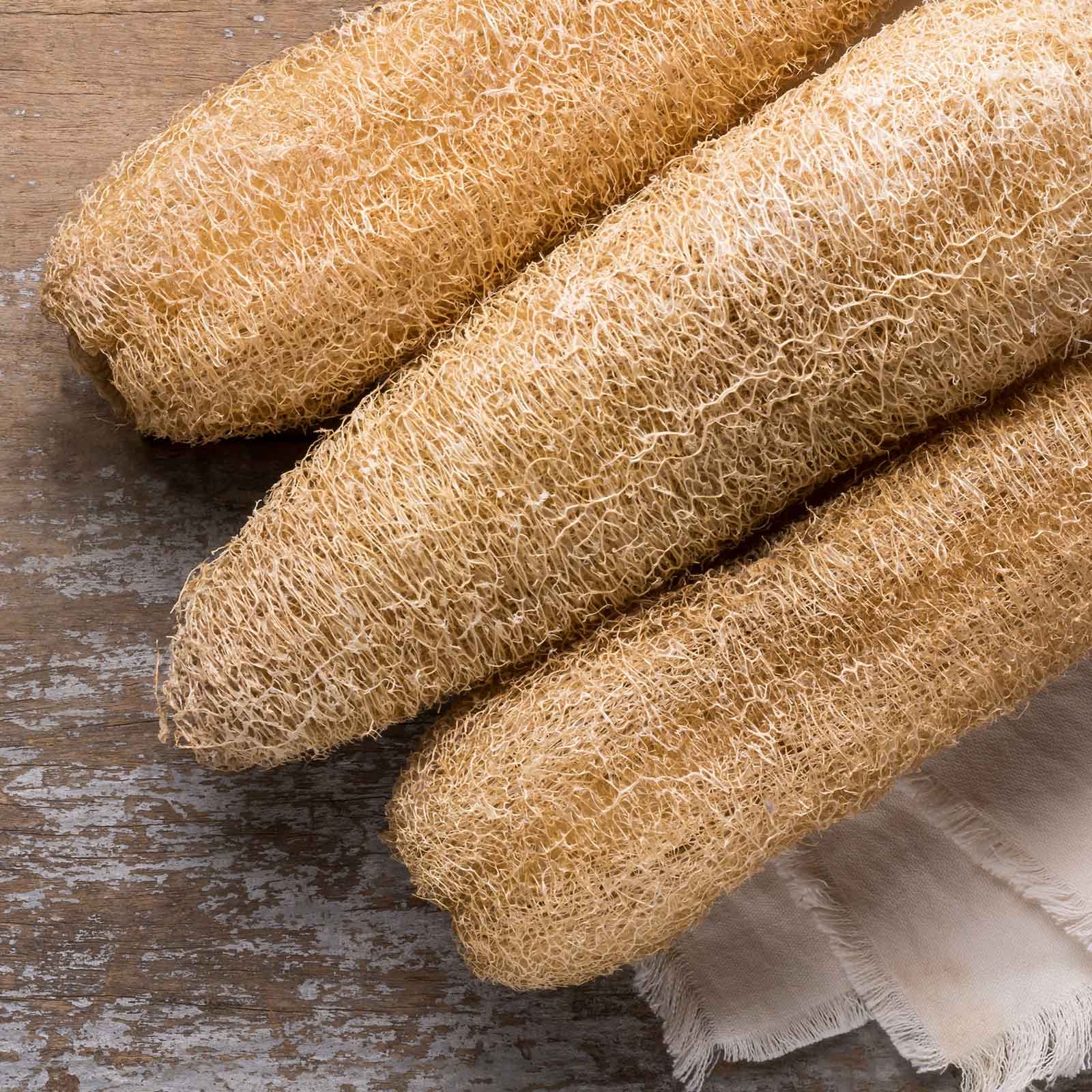 loofah plant seeds Bulk Gourd Seeds - Luffa