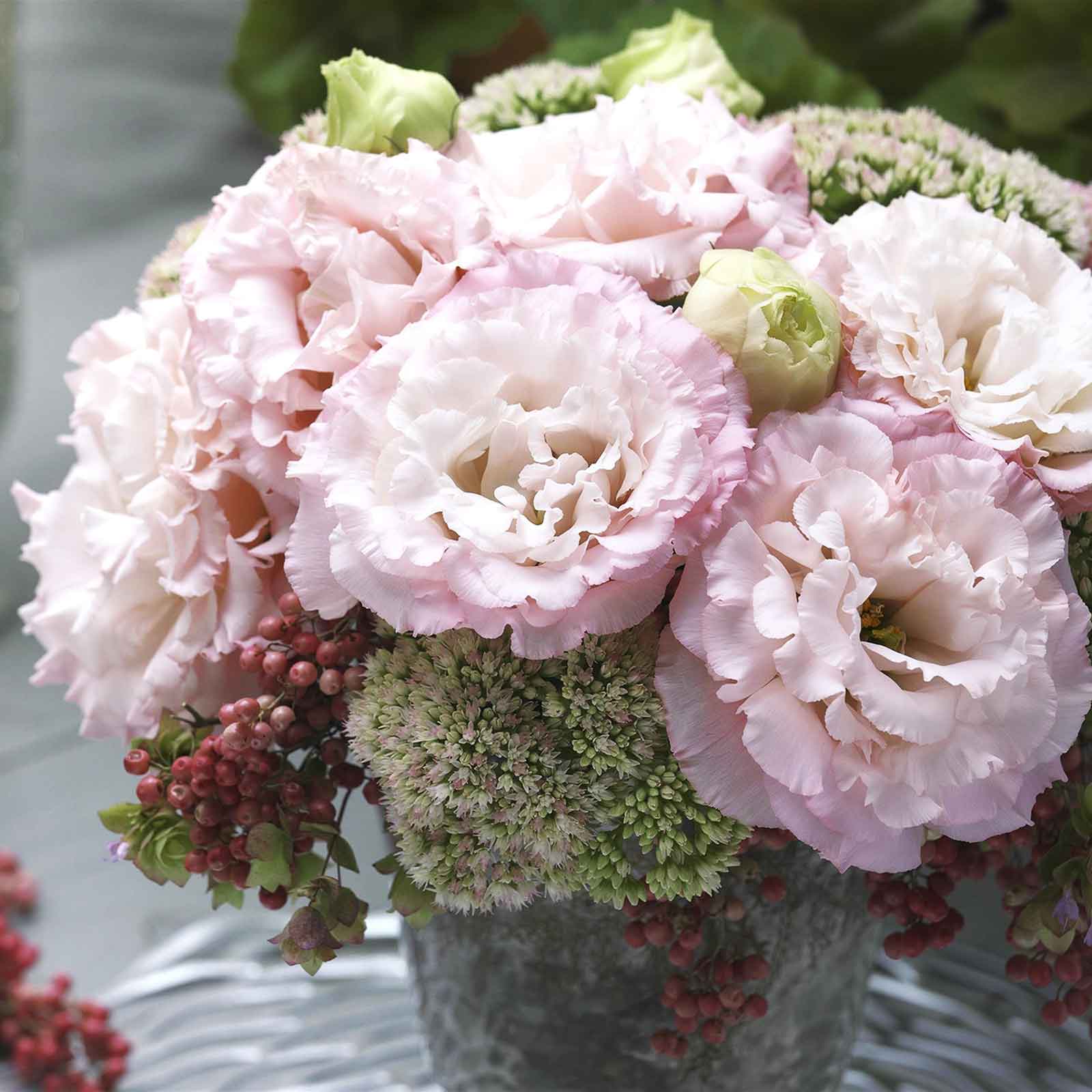 lisianthus seeds for planting Bulk Lisianthus Seeds - Corelli Peach