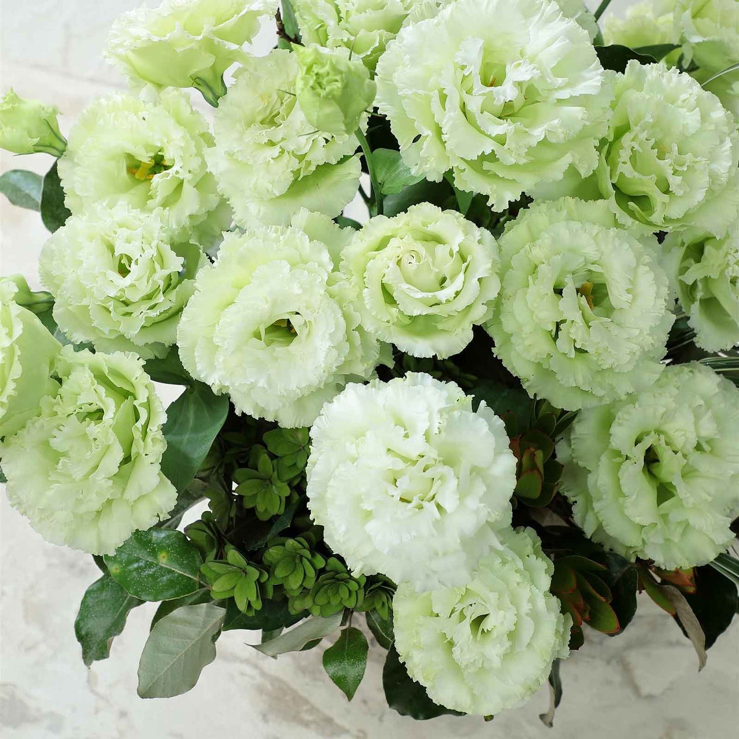 lisianthus voyage green