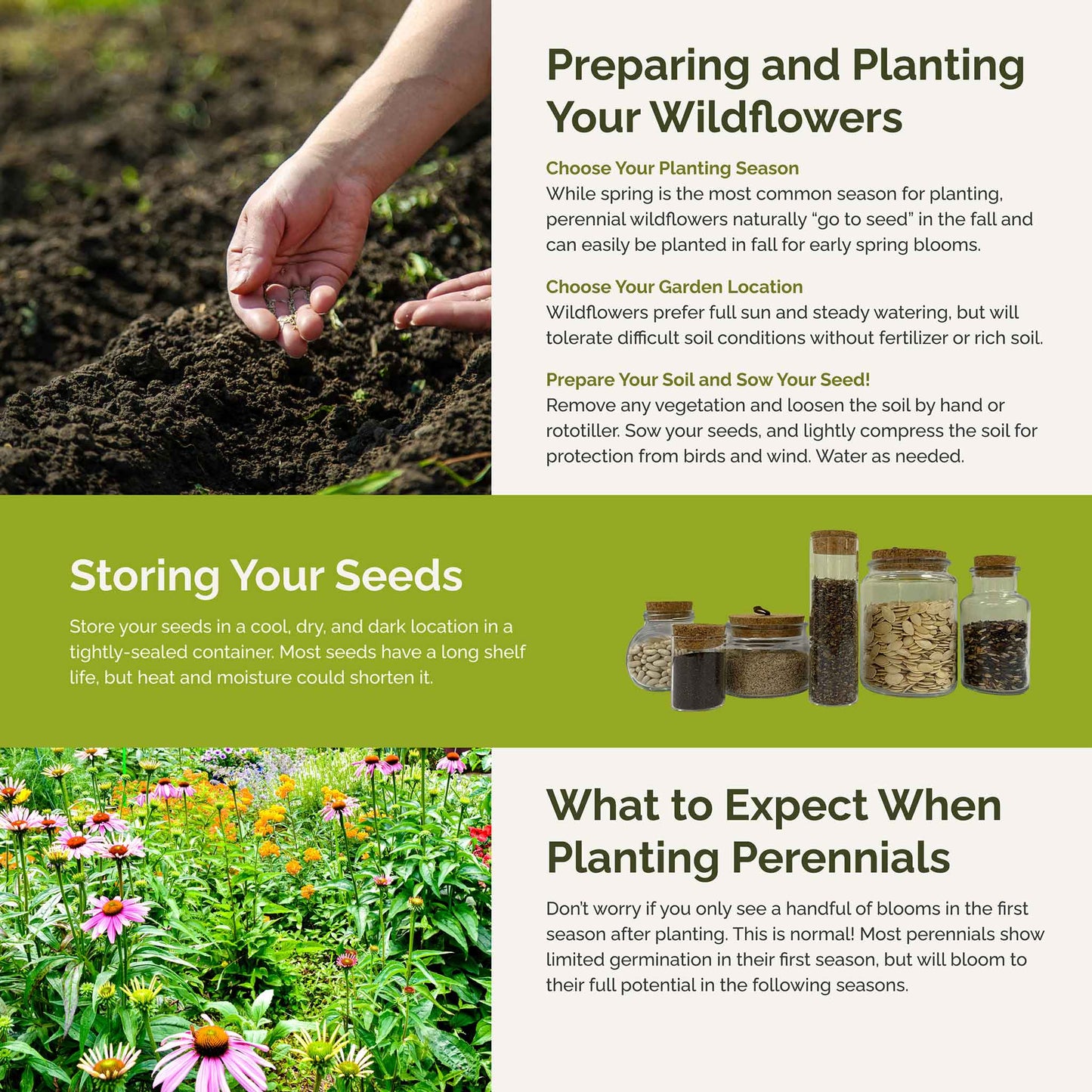 northeast all perennial planting