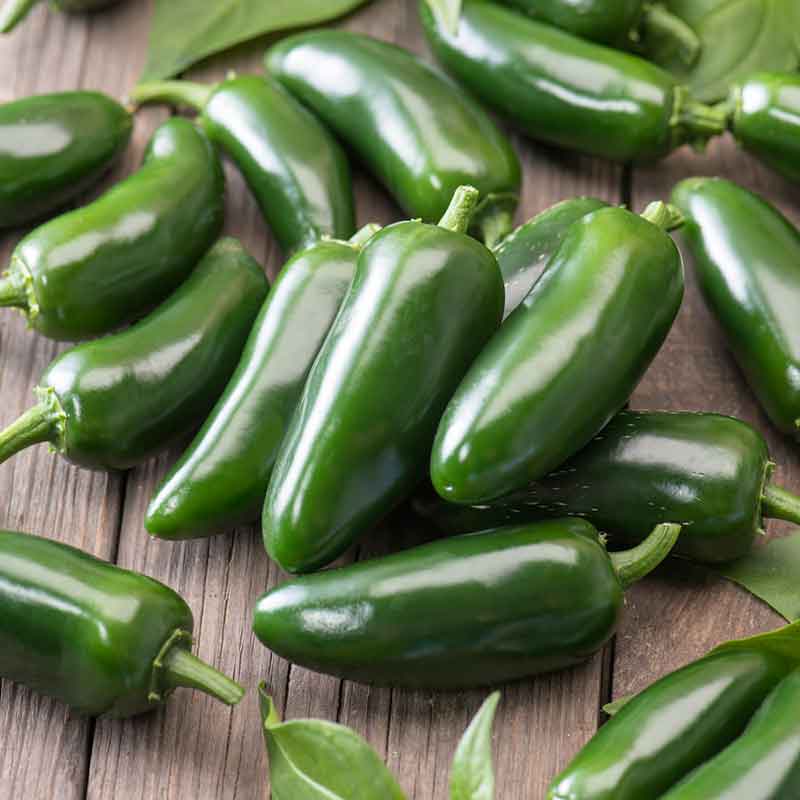 planting fresh jalapeno seeds Bulk Hot Pepper Seeds