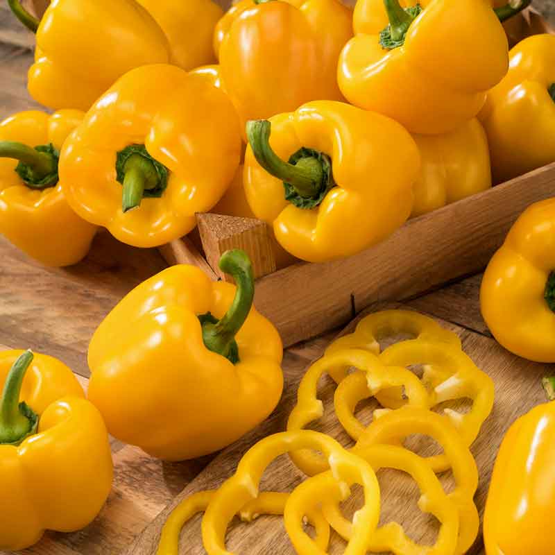 pepper organic golden cal wonder | copyright: Floramedia UK Ltd