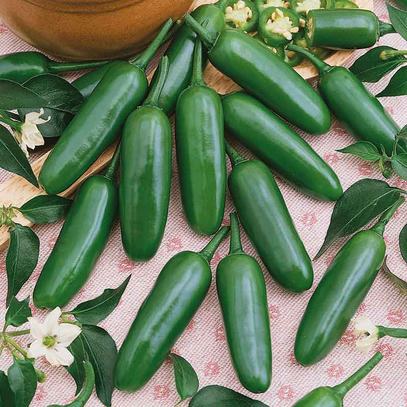 serrano pepper seeds to plant Bulk Hot Pepper Seeds