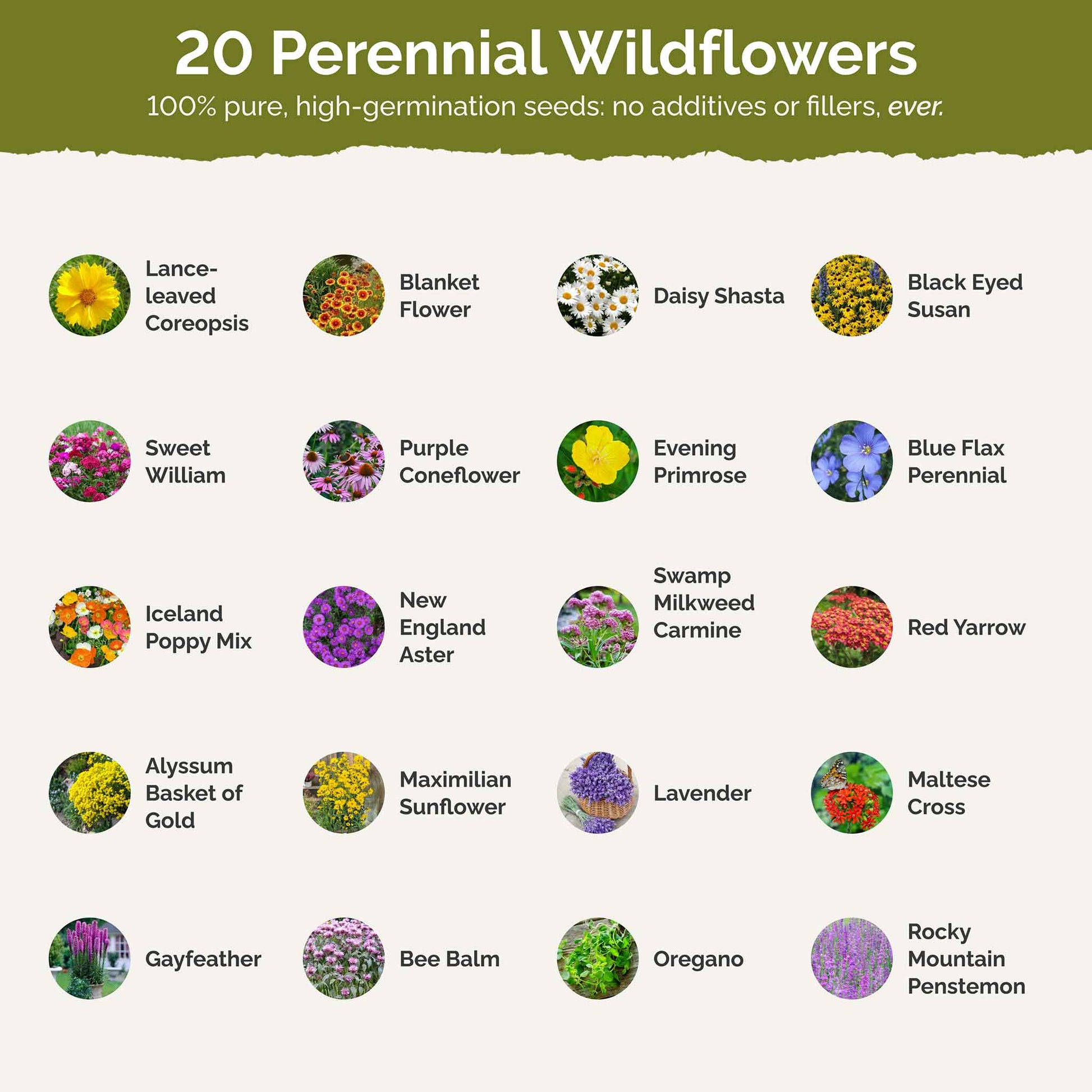 perennial pollinator contents