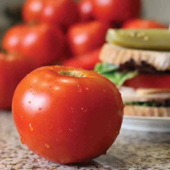 tomato celebrity plus
