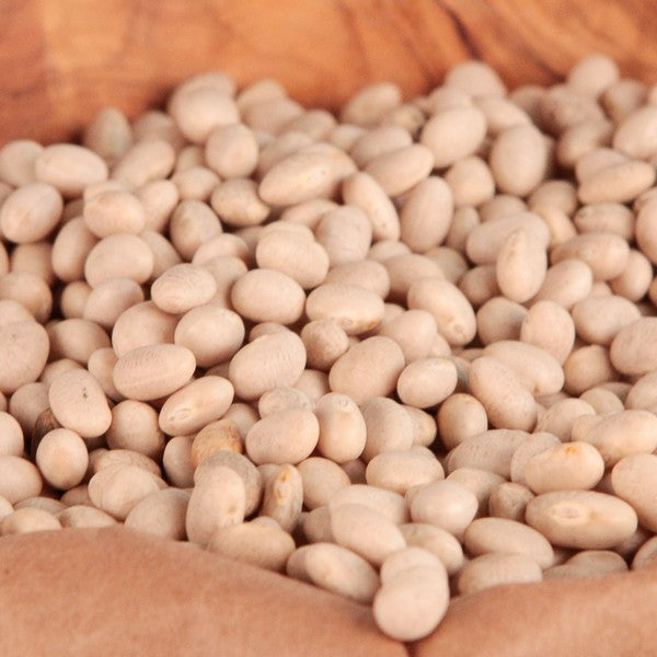 Navy Bean