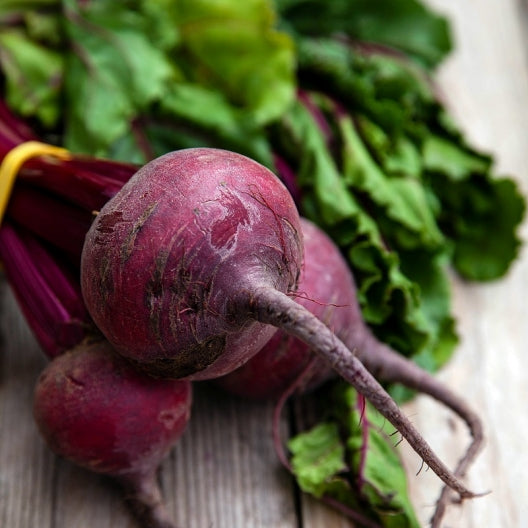 Detroit Dark Red Beet