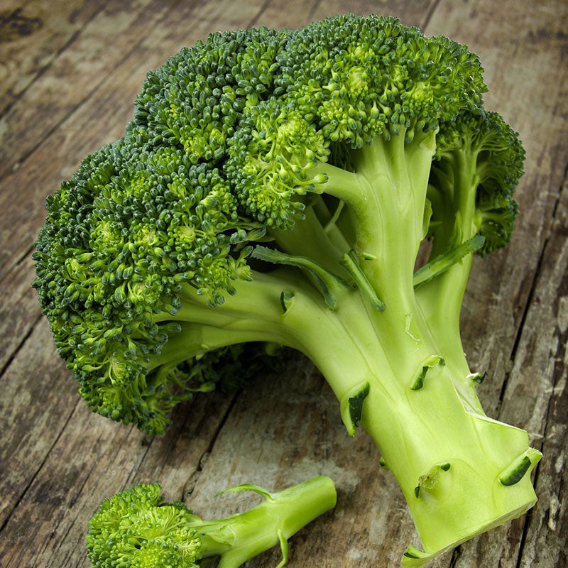 Waltham 29 Broccoli