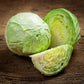 cabbage late flat dutch