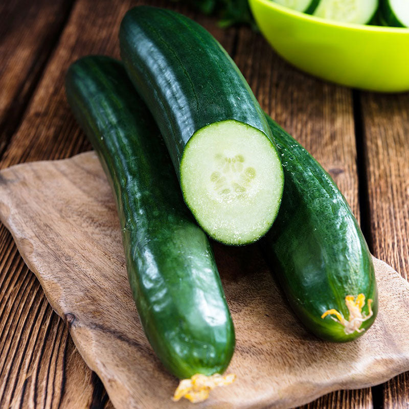 tendergreen burpless cucumber