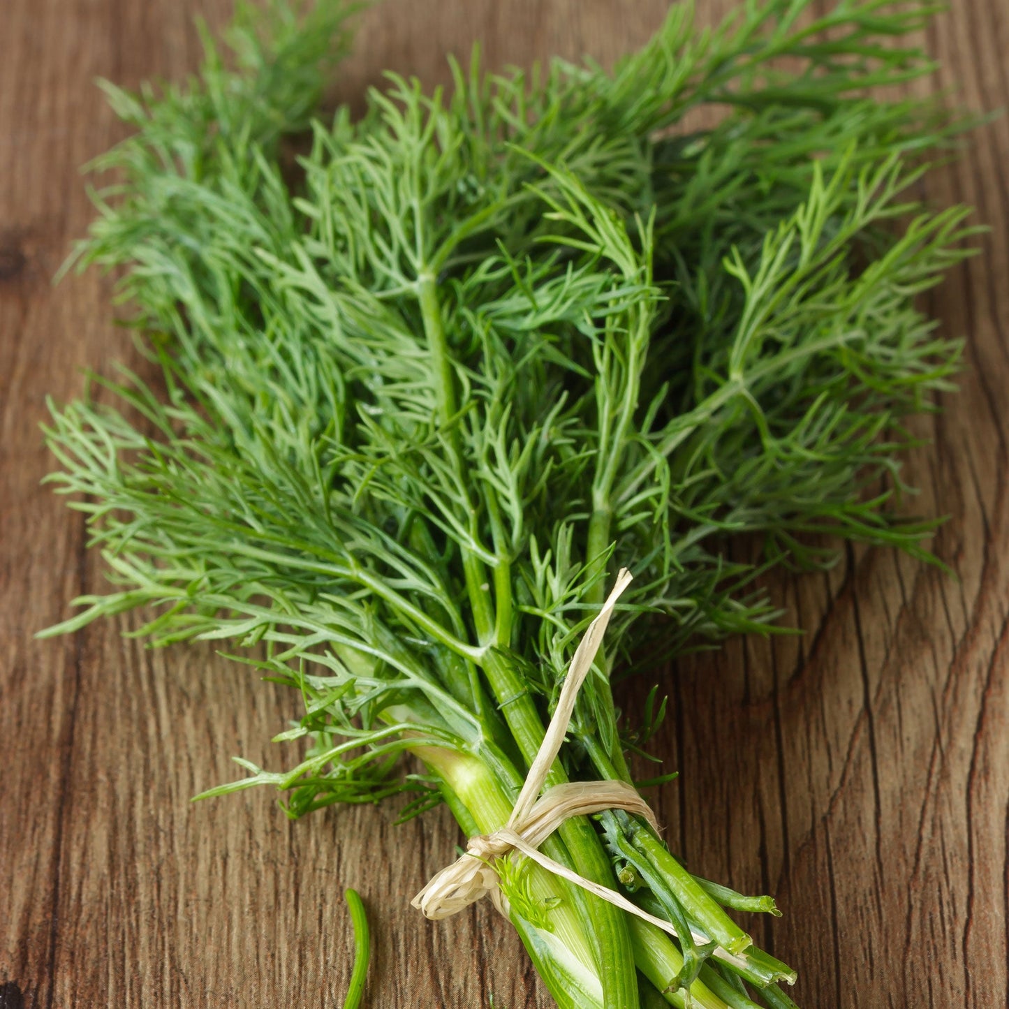 Bouquet Dill