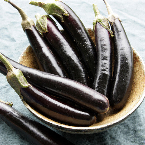 finger fruit eggplant
