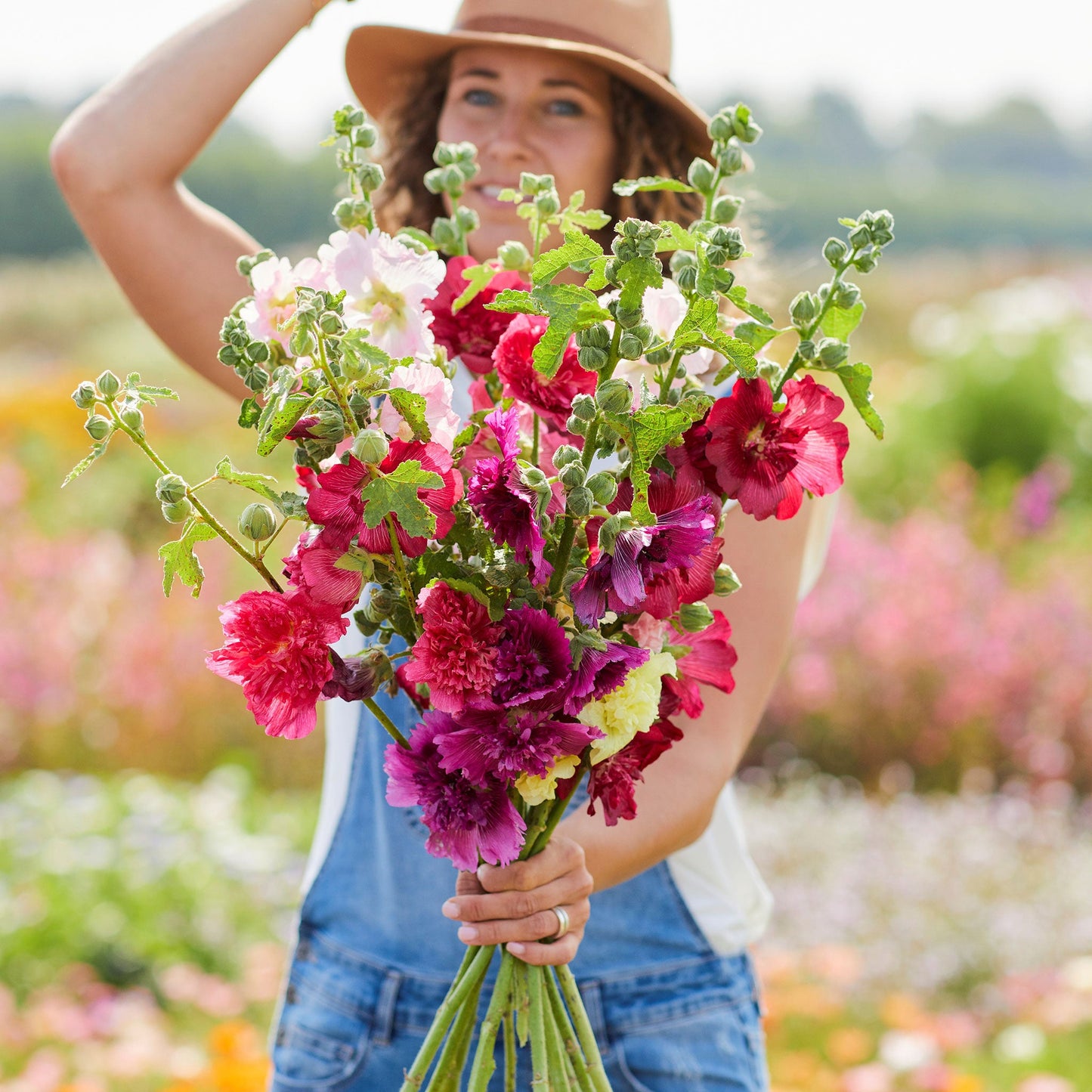 queeny mix hollyhock 