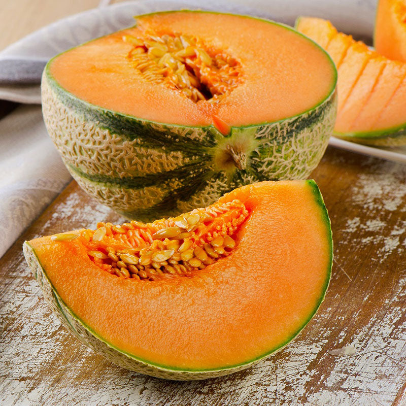 charentais melon