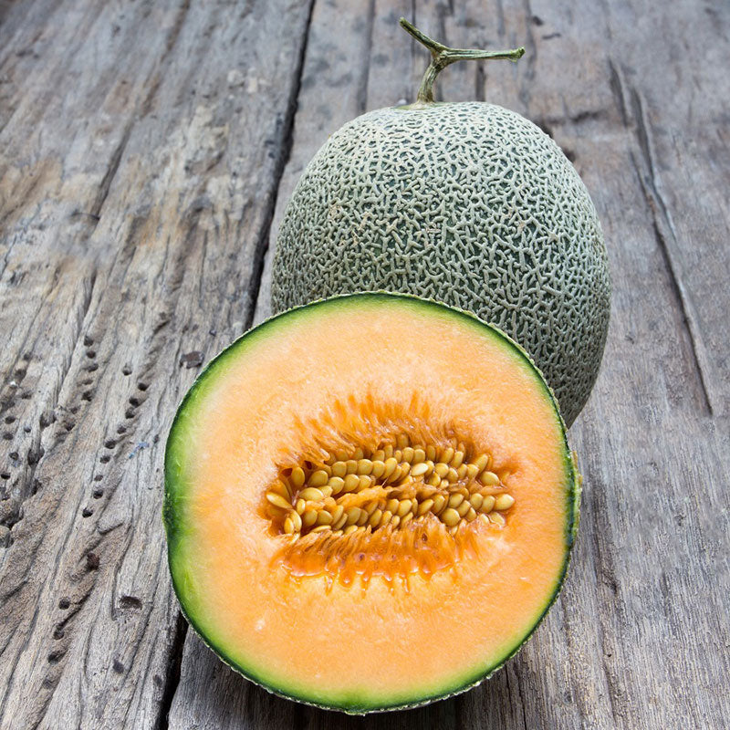 melon edisto