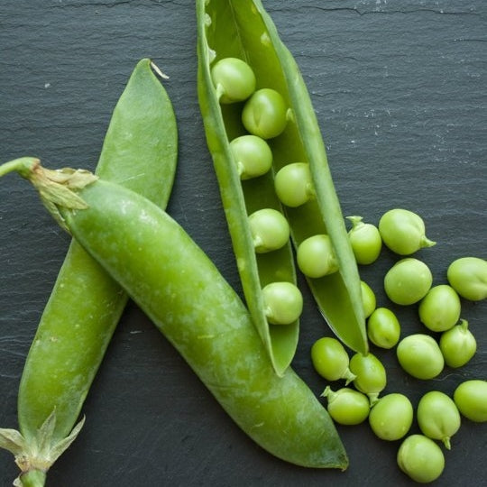 lincoln pea
