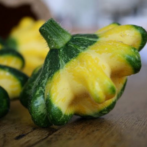 scallop panache squash