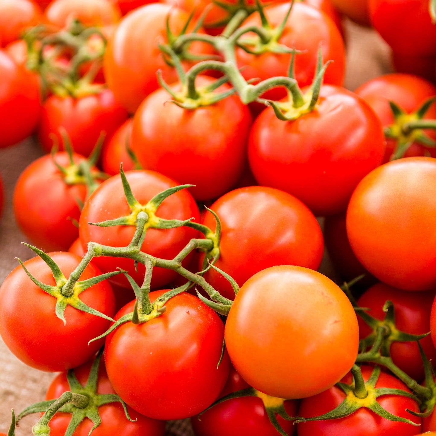 sweetie tomato