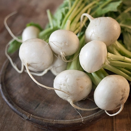 turnip white egg