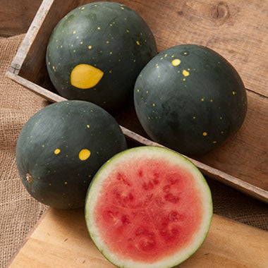 moon and stars watermelon