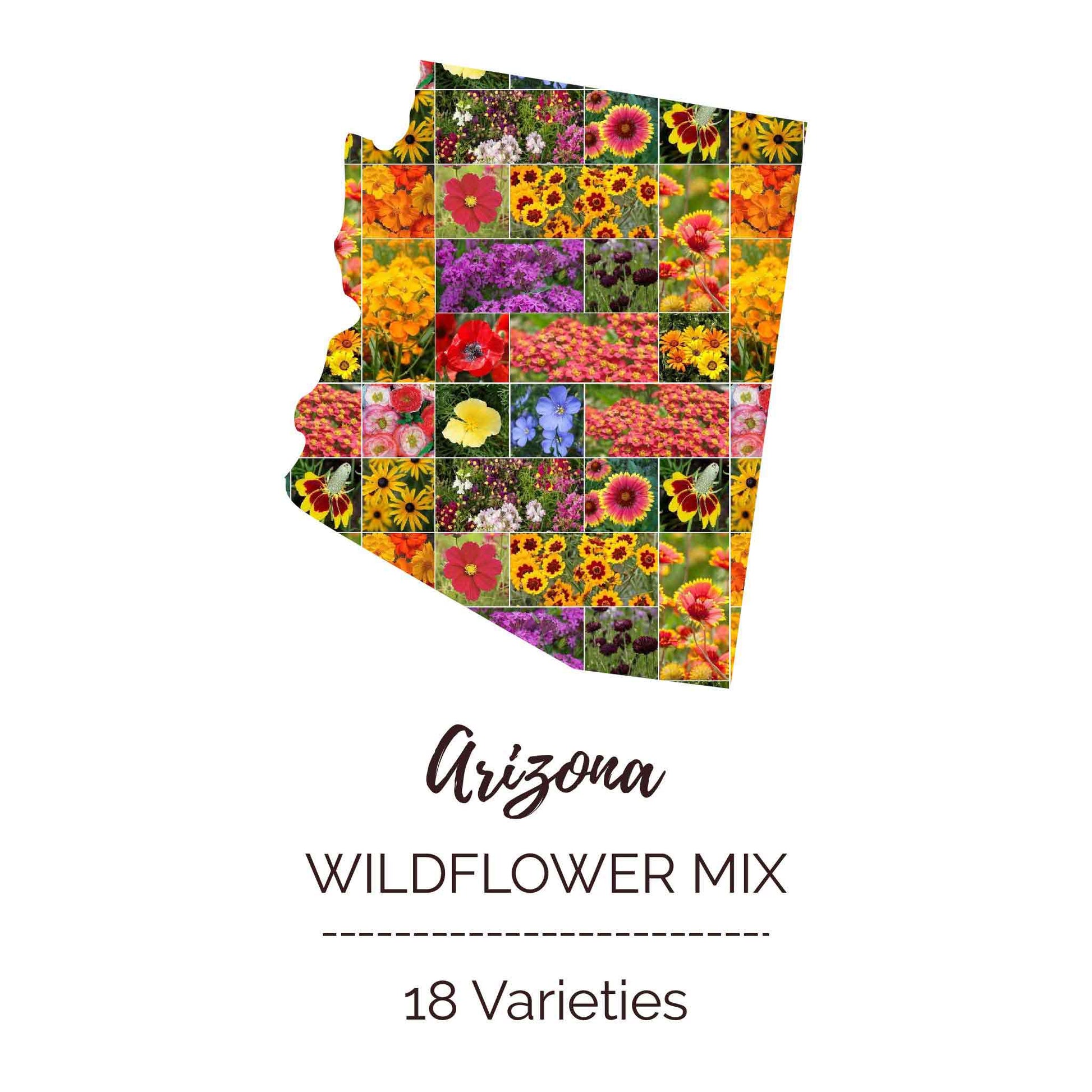 wildflower seeds bulk near me Arizona Wildflower Seed Mix