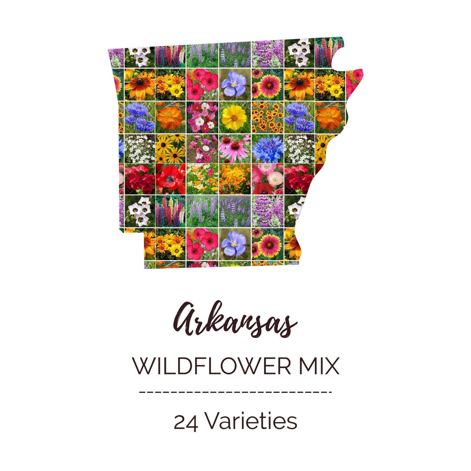 michigan wildflower seeds bulk Arkansas Wildflower Seed Mix