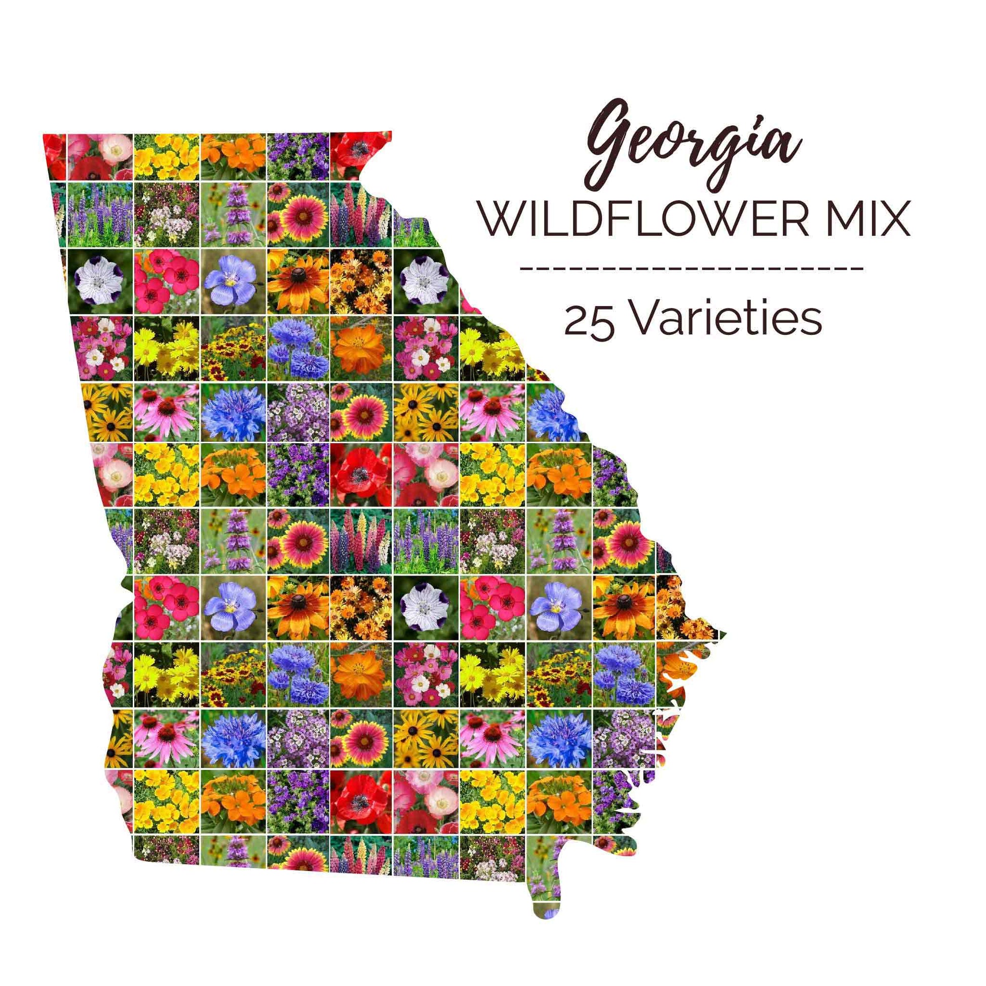 michigan wildflower seeds bulk Bulk Georgia Wildflower Seed Mix