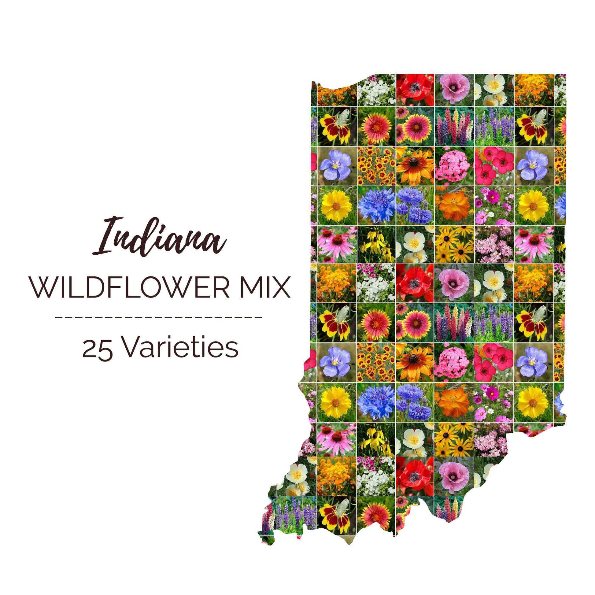 wildflowers seeds for sale Bulk Indiana Wildflower Seed Mix