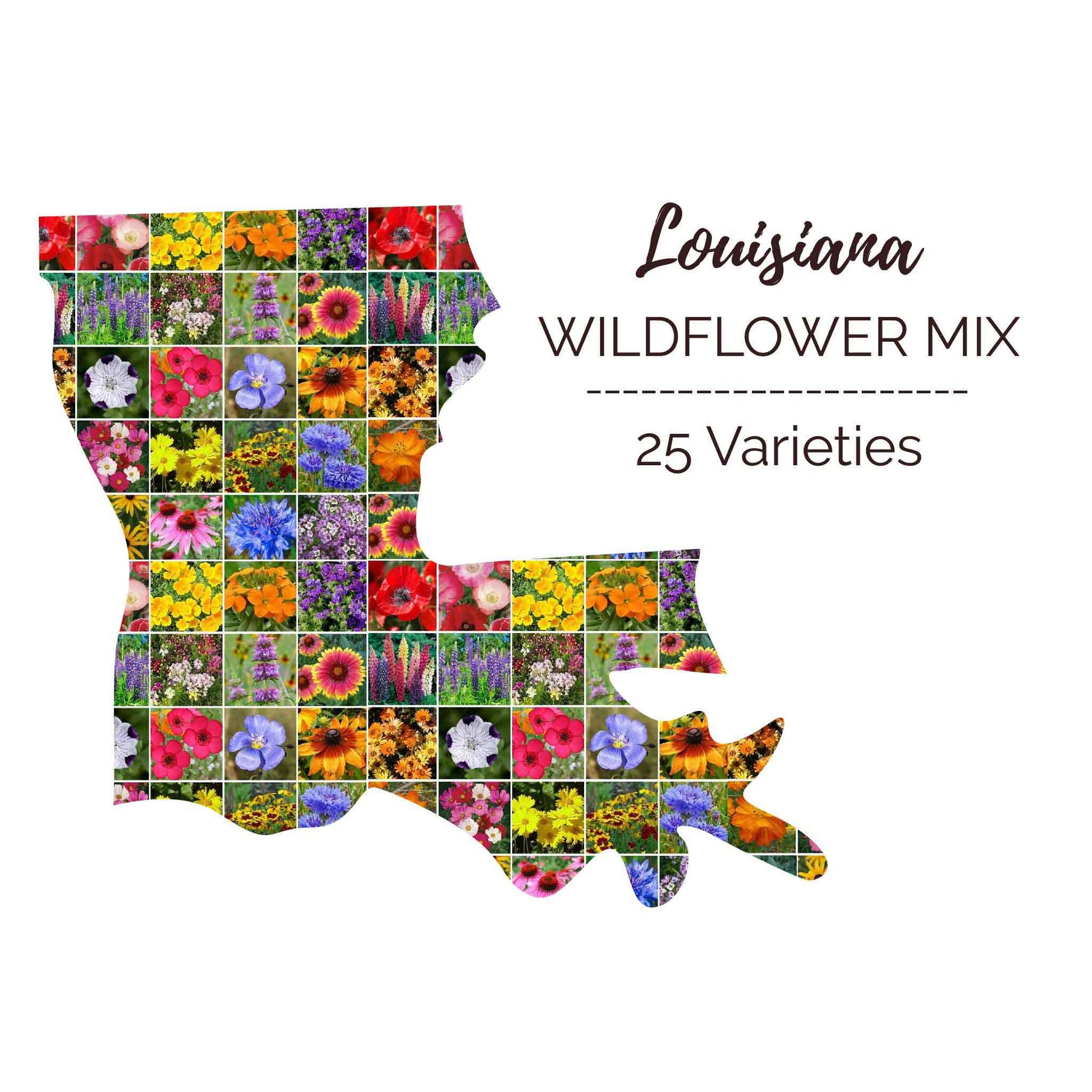 wildflower seeds menards Louisiana Wildflower Seed Mix