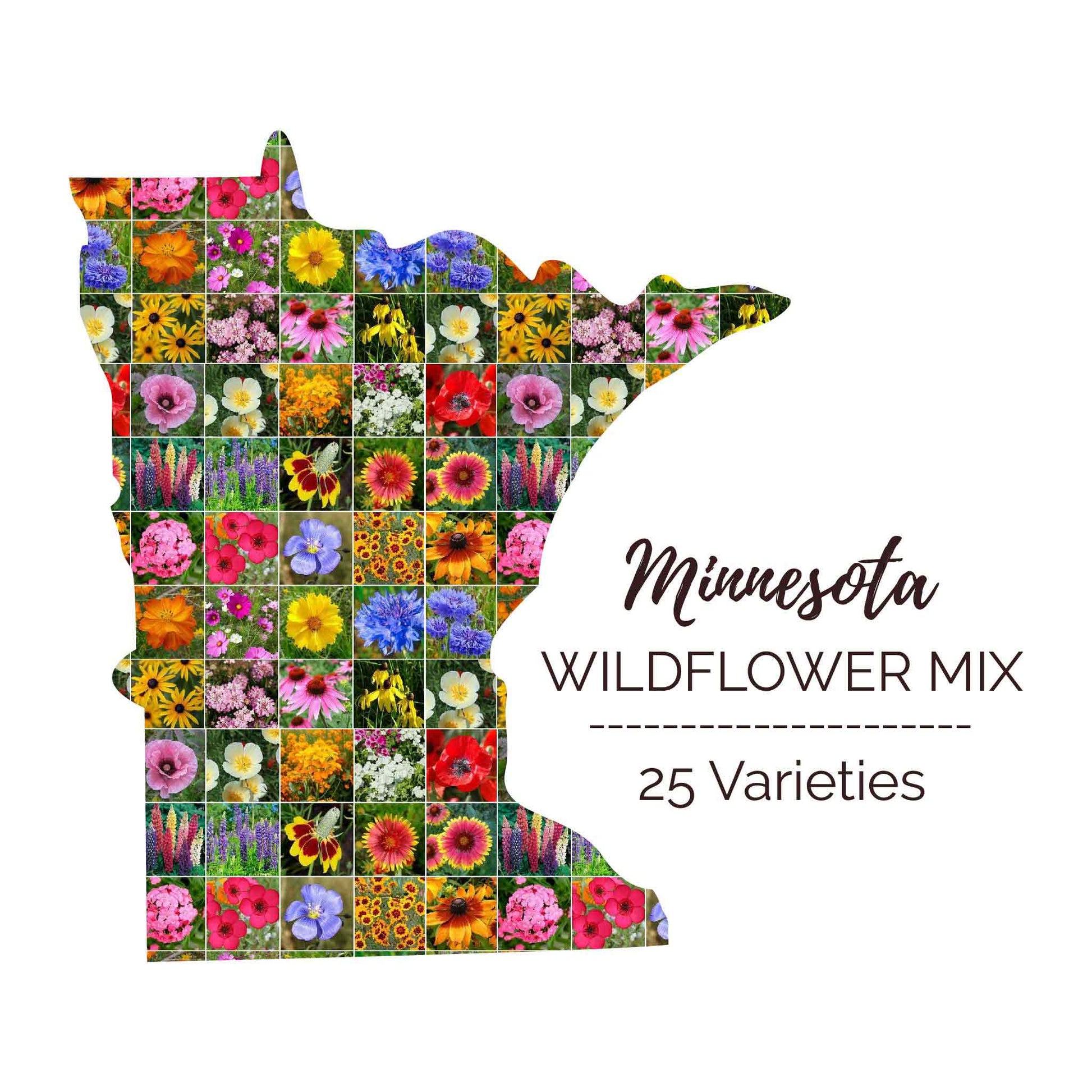 free wildflower seeds 2024 Minnesota Wildflower Seed Mix