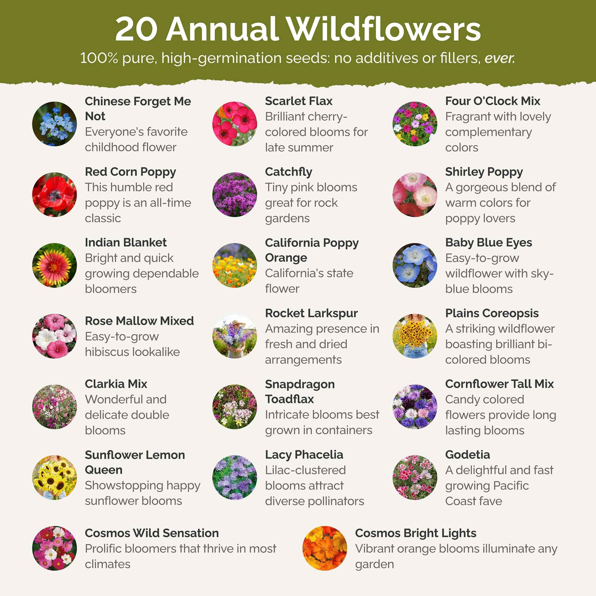 annual flower seeds for sale Bulk All Annual Wildflower Seed Mix