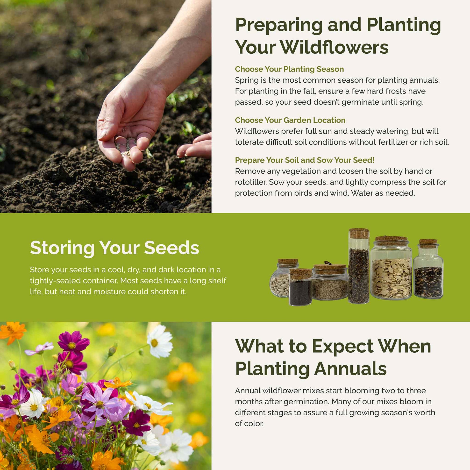 bulk meadow flower seeds Bulk All Annual Wildflower Seed Mix