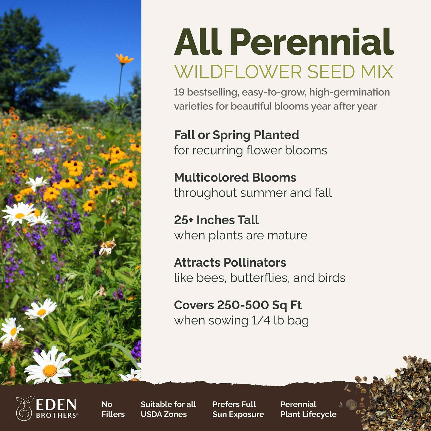 bulk wild flower seed Bulk All Perennial Wildflower Seed Mix