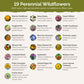 all perennial contents
