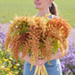 Person holding a large bouquet of amaranth Autumn Touch with a blurred natural background