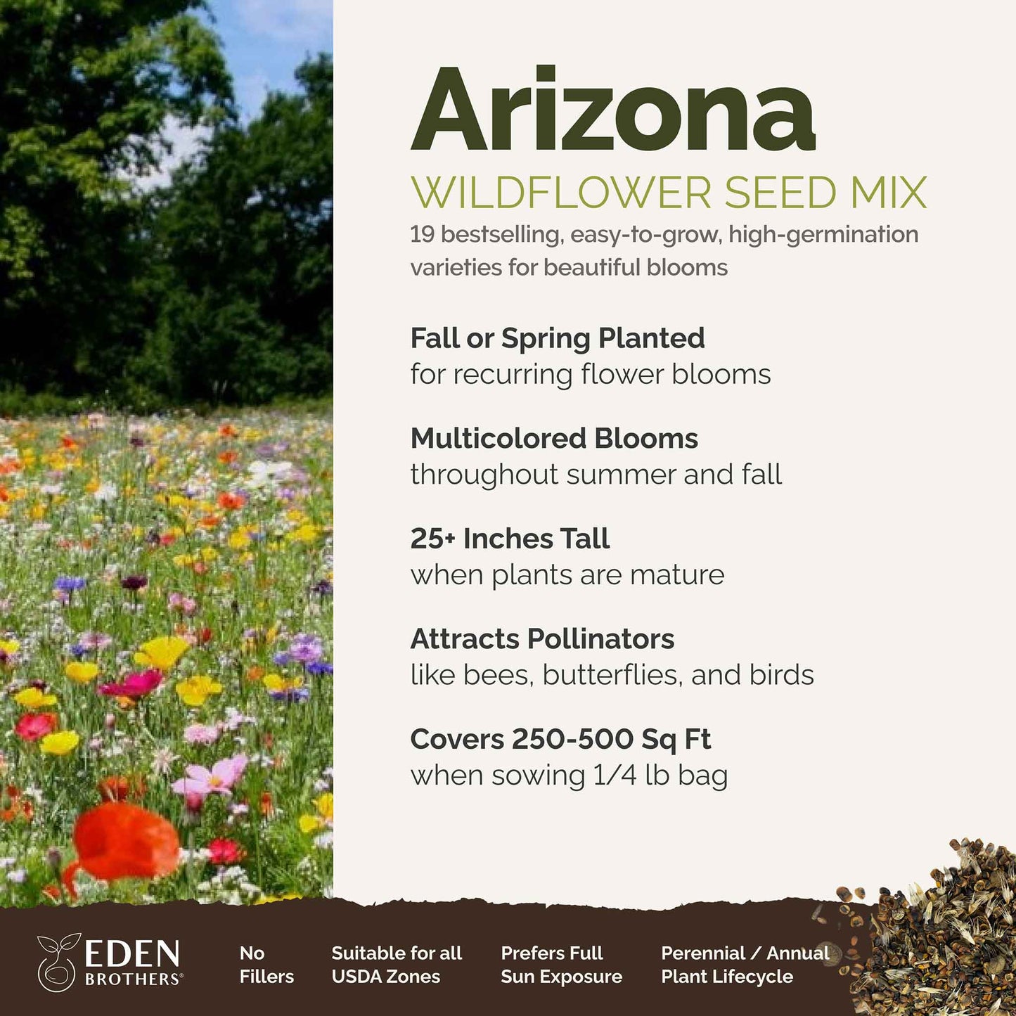 planting seeds in arizona Arizona Wildflower Seed Mix