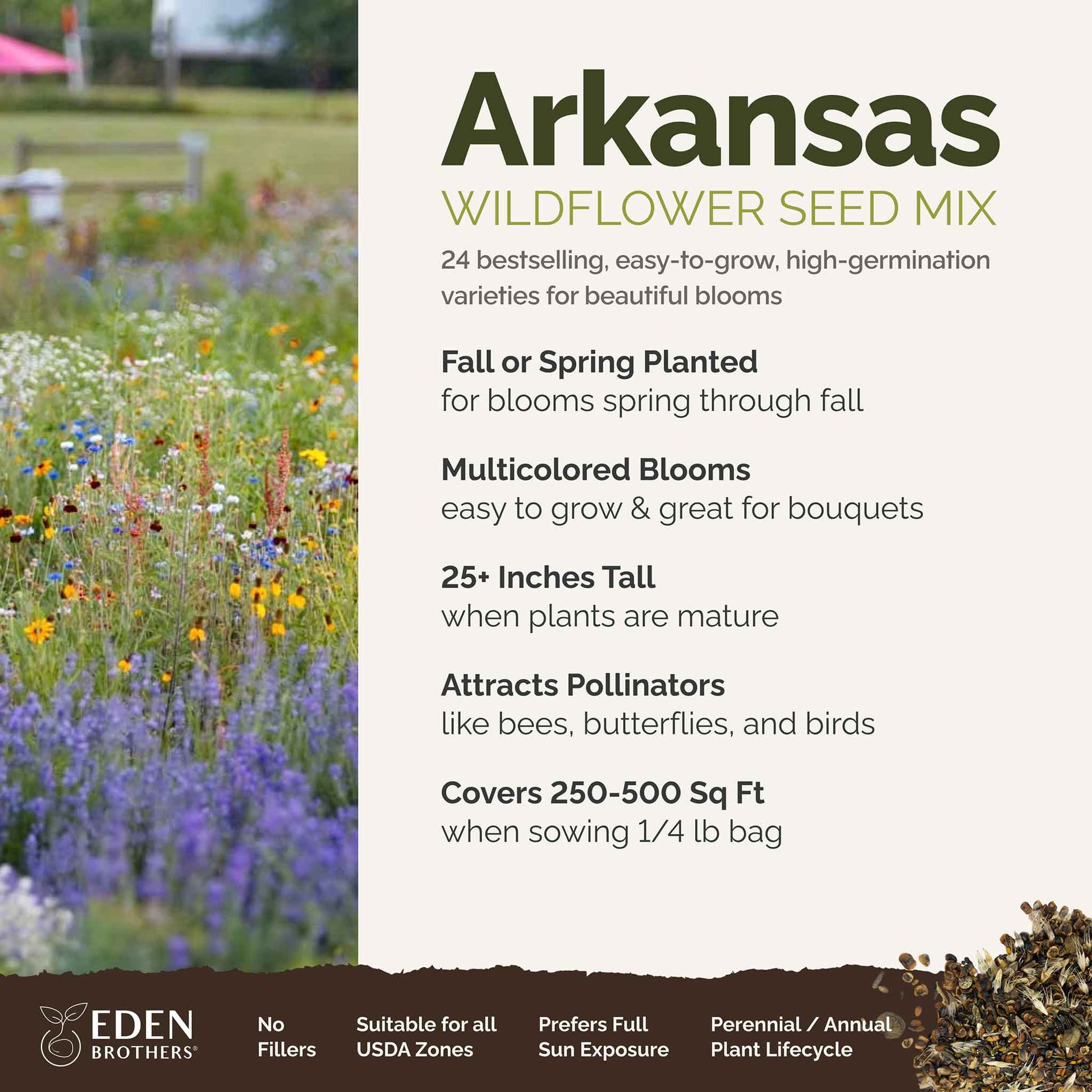 wildflower seeds block of the month Arkansas Wildflower Seed Mix