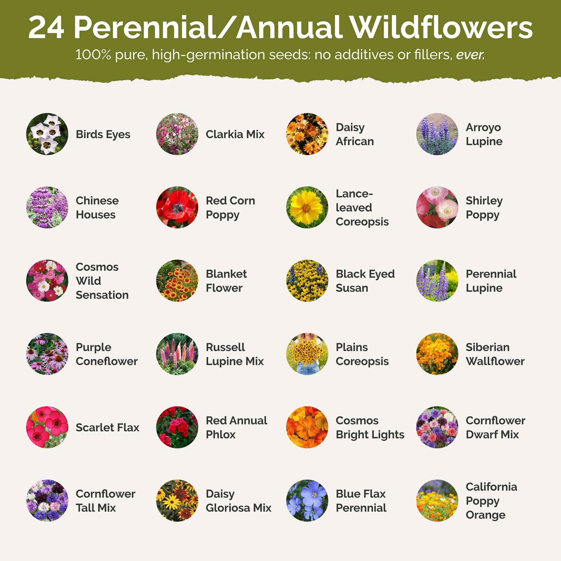 wildflower seeds block of the month Arkansas Wildflower Seed Mix