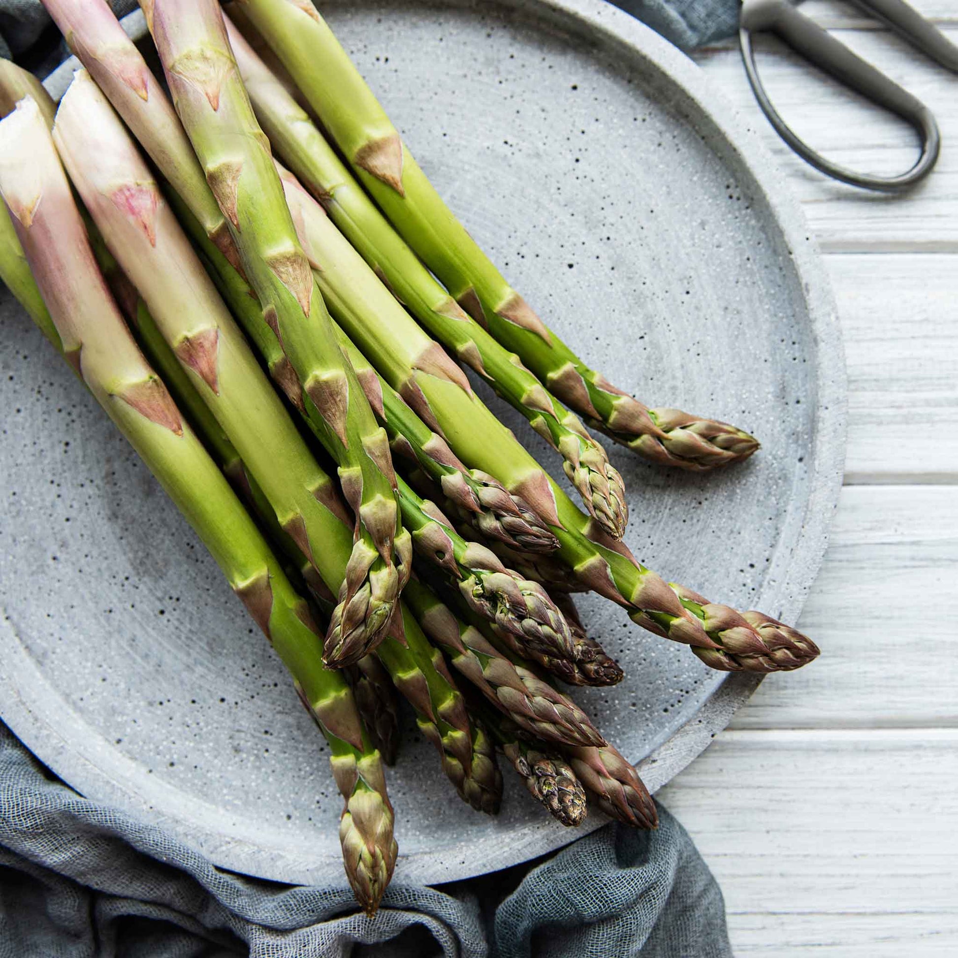 garden asparagus seeds Bulk Asparagus Seeds