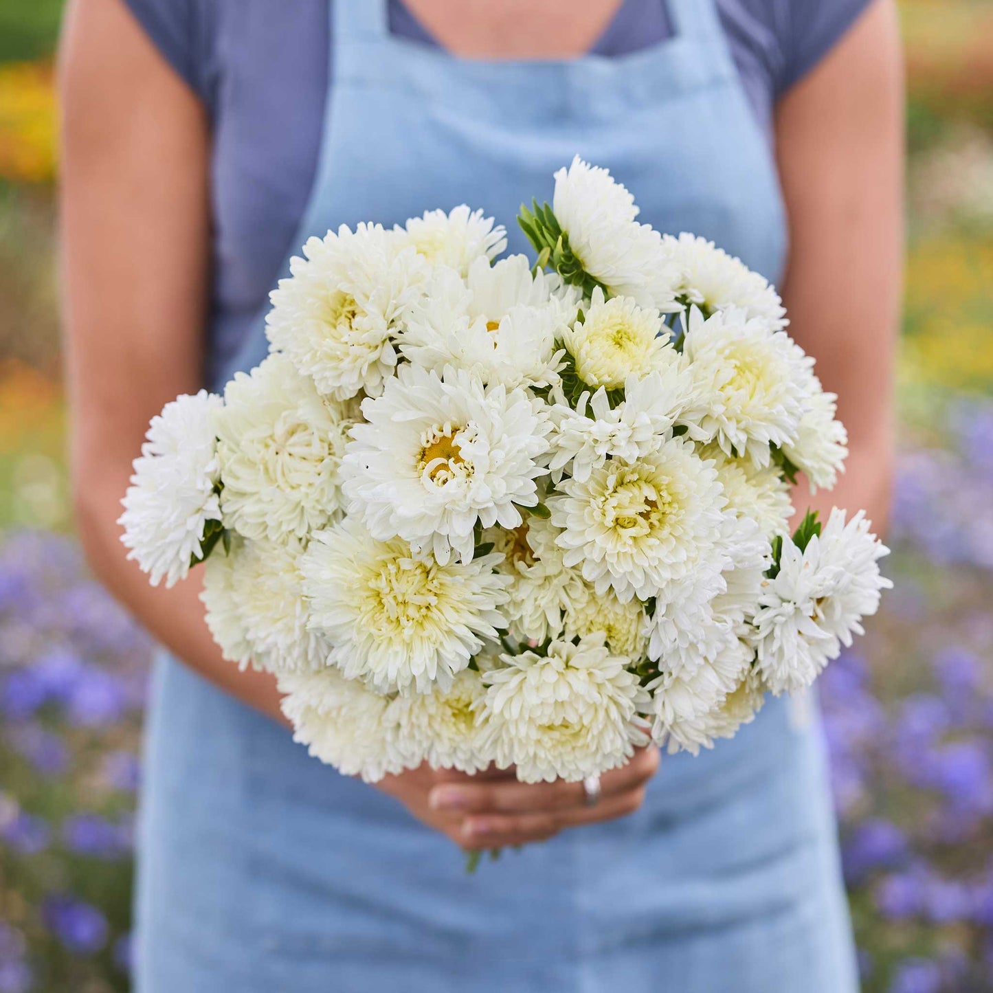 Person holding a bouquet of china aster duchesse yellow flowers in a garden setting