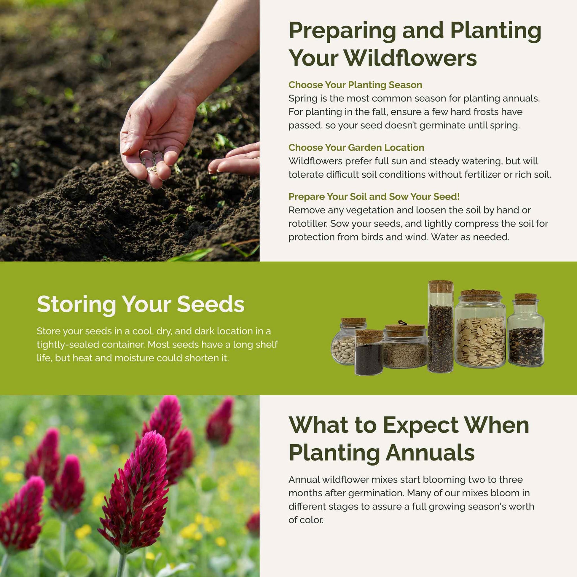 seeds for bee garden Bulk Bee Happy - Organic Bee Attractor Wildflower Mix