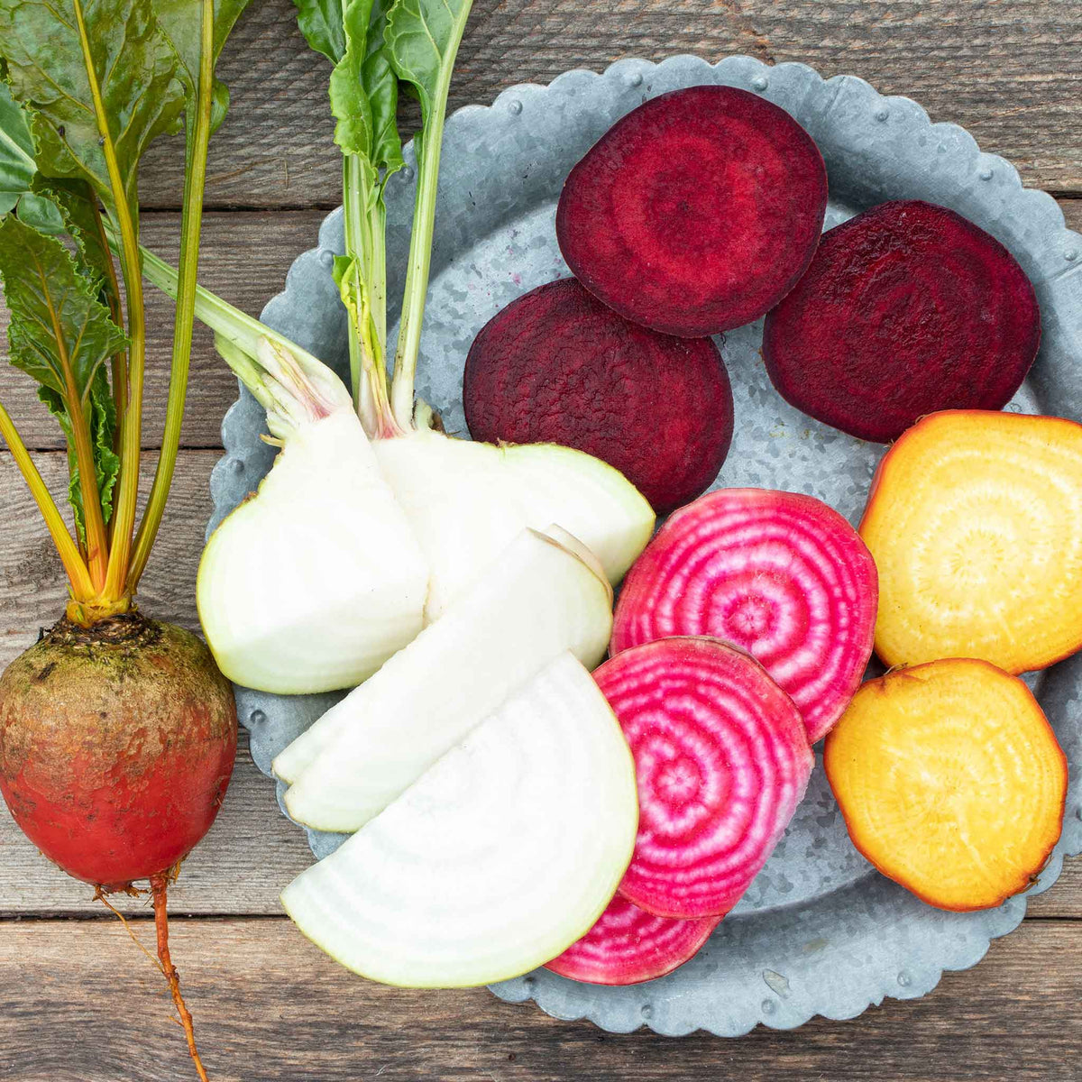 Beet Multi Bulk Beet Seeds - Rainbow Mix | Bulk Seed Store