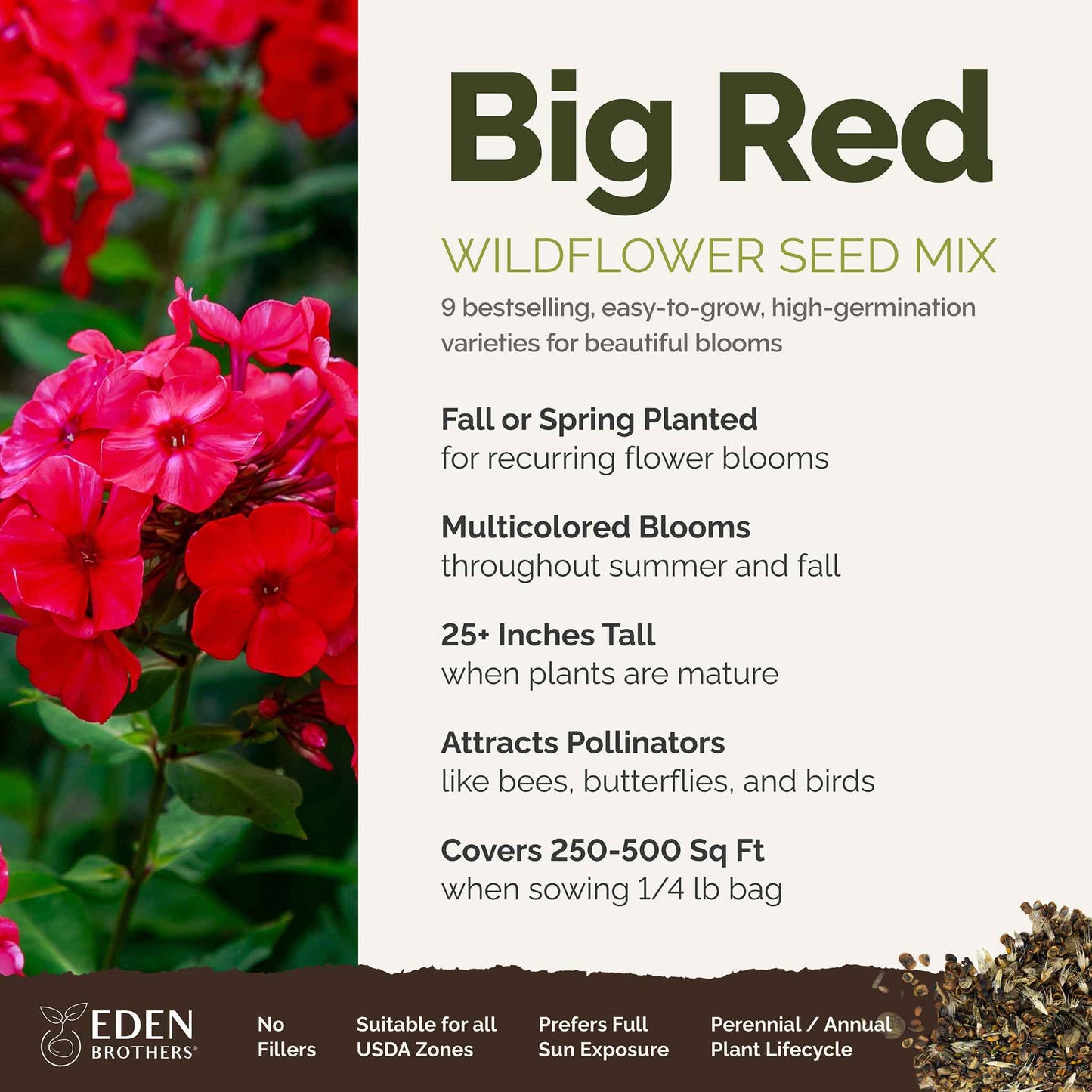 big lots flower seeds Bulk Big Red Mix - Red Flower Seed Mix